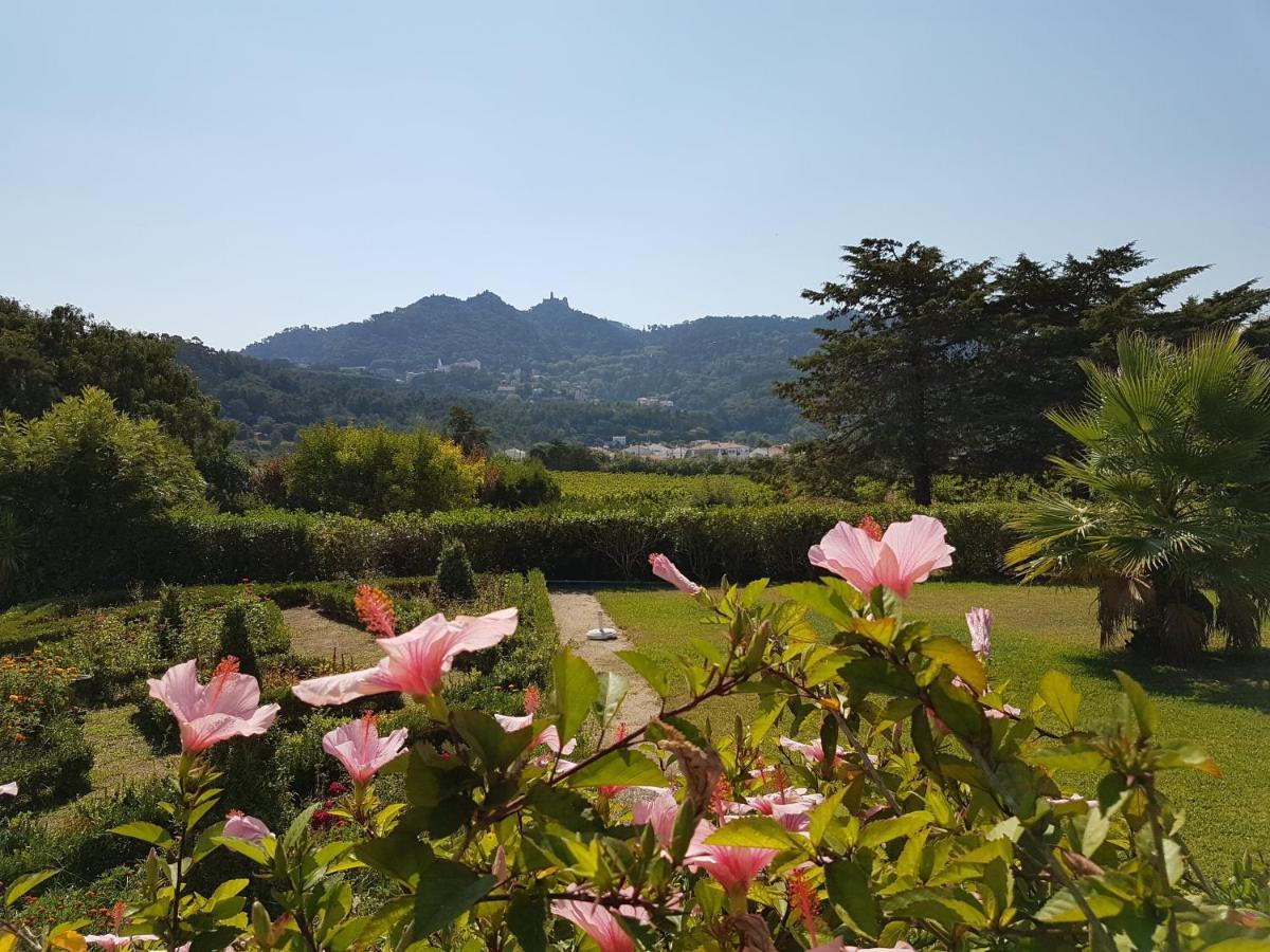 Hotel Santa Maria Casa Nostra Sintra Zewnętrze zdjęcie